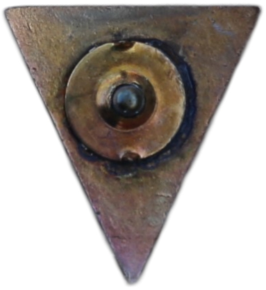 Type 1